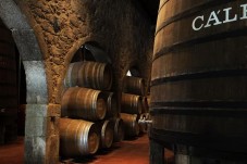 Visita às Caves Cálem + espetáculo de fado