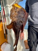 Dia de pesca embarcada em Lisboa
