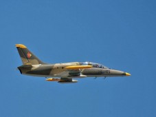 Voo Acrobático em Avião a Jato (Caça L-39 Albatros) na Alemanha