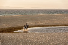 Passeio Romântico a Cavalo à Beira-mar p/2