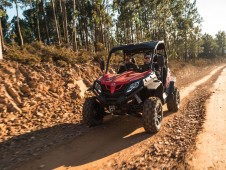 Tour de Buggy Off Road no Porto