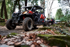Porto Buggy Off-Road Experience