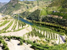 Cruzeiro no Douro rumo à Regua