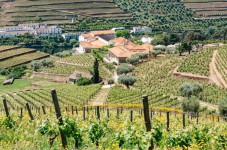 Caves de Vinho do Porto Croft