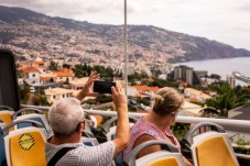 Madeira, Baleias e Golfinhos - Bilhete Criança