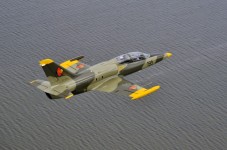 Voo Acrobático em Avião a Jato (Caça L-39 Albatros) na Alemanha