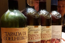 Prova de Vinhos Deluxe, Visita à Adega e Safari na Herdade de Coelheiros p/2