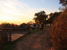 Passeio a Cavalo na Serra