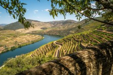 Tour Douro e Vinho do Porto TT em Land Rover de 1964 p/2