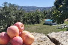 Noite na Quinta da Cabrida c/ Jantar Ancestral