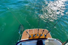 Dia de pesca embarcada em Lisboa
