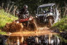 Tour guiado de Buggy Off-Road no Algarve