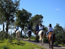 Passeio a Cavalo na Serra