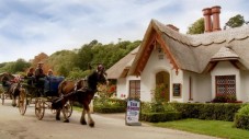 Killarney Jaunting Car Tour to Ross Castle (4 Adults)