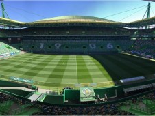 Sporting Fan Experience