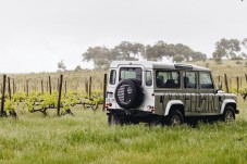Prova de Vinhos Deluxe, Visita à Adega e Safari na Herdade de Coelheiros 