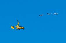 Voo em Girocóptero no Algarve