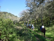 Passeio a Cavalo na Serra de Grândola