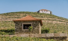 Visita da Quinta da Roêda e Prova de Vinhos p/ 2