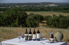 Visita à Adega da Herdade de Coelheiros e Prova de Vinhos p/2