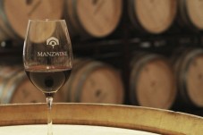 Prova de Vinhos – Manzwine The True Essence p/2