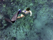 Batismo de Snorkeling em Sesimbra