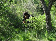 Laser Tag em Loures