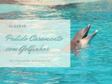 Pack Pedido de Casamento com Golfinhos