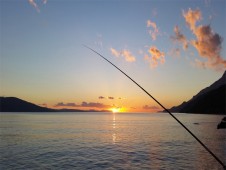 Dia de Pesca Desportiva Embarcada em Peniche