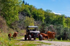 Tour de Buggy Off Road em Arcos de Valdevez (30min) p/2