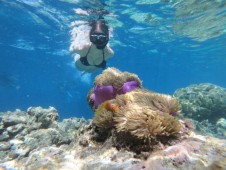 Canoagem e Snorkeling na Serra da Arrábida