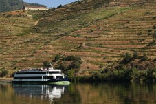 Cruzeiro no Douro Porto - Régua - Porto (Descida de barco)