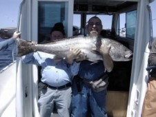 Pesca Embarcada em Alto Mar