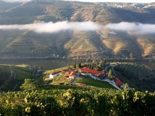 Visita Superior à Quinta Nova no Douro 