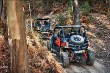 Porto Buggy Off-Road Experience
