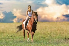 Batismo a Cavalo na Quinta do Banco