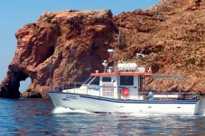 Pesca desportiva embarcada para grupos em Peniche