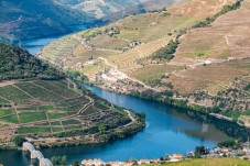 Cruzeiro no Douro rumo à Régua - Bilhete Criança 4-12 anos