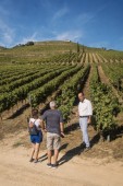 Visita da Quinta da Roêda e Prova de Vinhos p/ 2