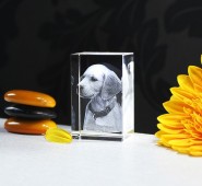Exemplos de Prendas Originais e Personalizadas em Cristal 3D