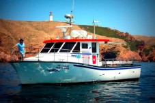 Pesca desportiva embarcada para grupos em Peniche