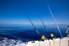 Pesca embarcada no Algarve (3 horas)