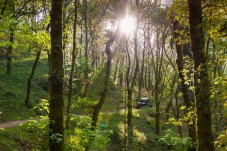 Buggy Tour - Arcos Tour - Arcos de Valdevez - Peneda Gerês