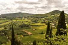 Private tour from Florence with lunch and dinner for two 