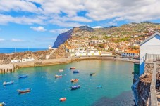 Madeira, Baleias e Golfinhos - Bilhete Criança