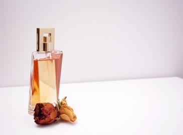 Workshop de Perfumaria Completo