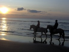Passeios a Cavalo